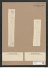 Synedra laevigata var. obtusiuscula Grun. (de-Toni-Nr.: Genus 66, Species 2587) Zeichnungen Sammlung Grunow Nr. 5253 (NHMW-BOT-W0373631)